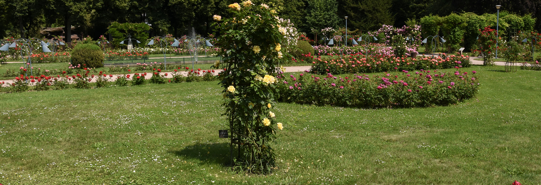 Brasserie de la Pepinière