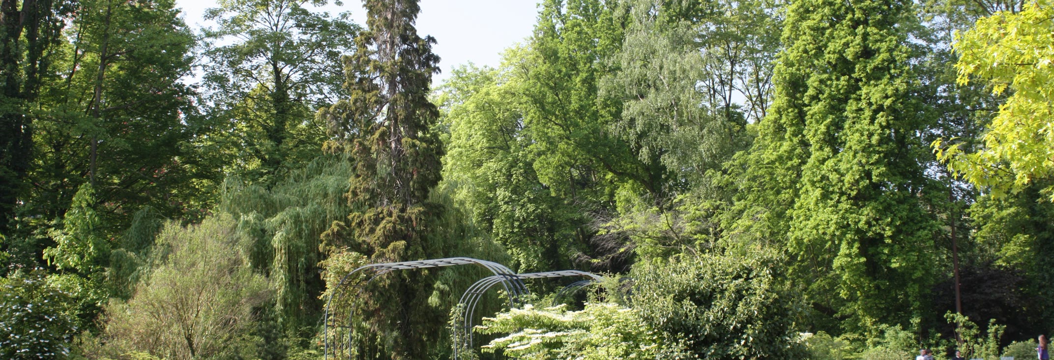The garden of the École de Nancy Museum, an Art Nouveau setting
