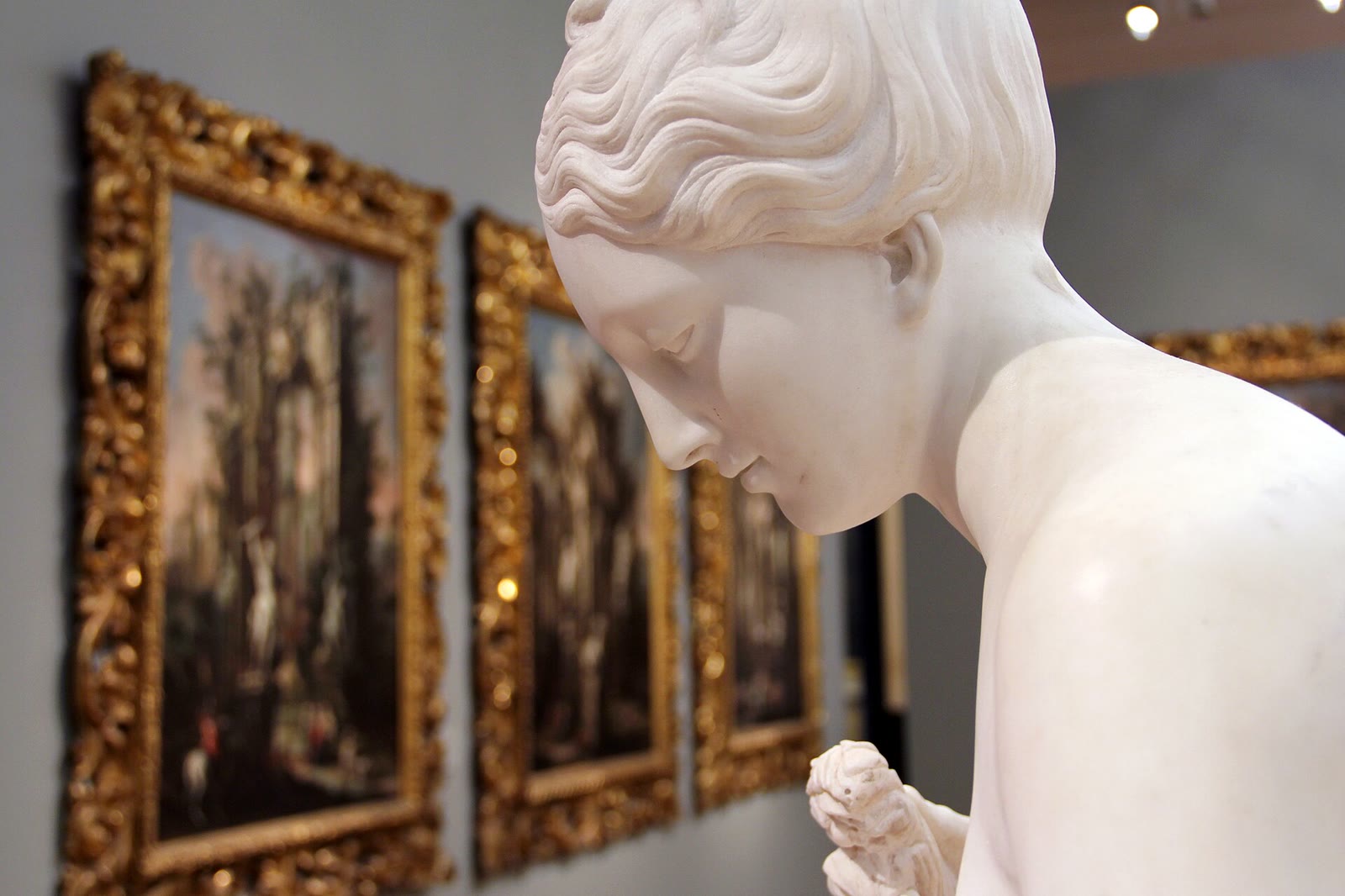 Le musée des Beaux-Arts, de Rubens à la collection Daum