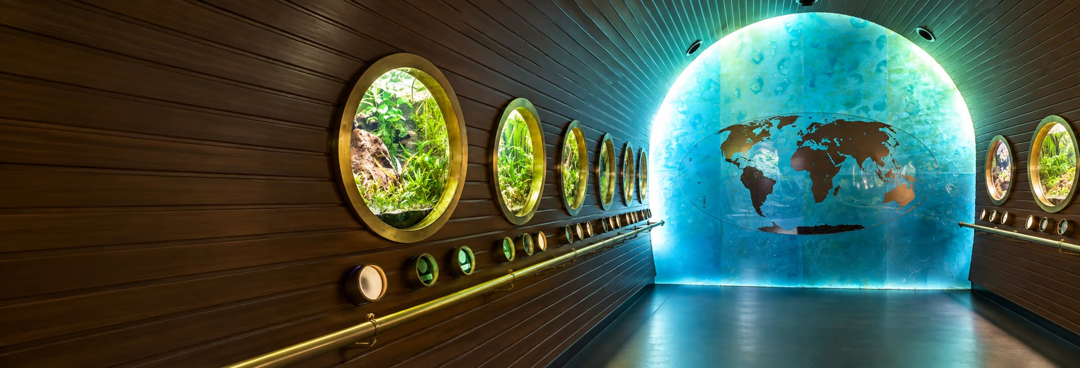 Aquarium-Museum of Nancy