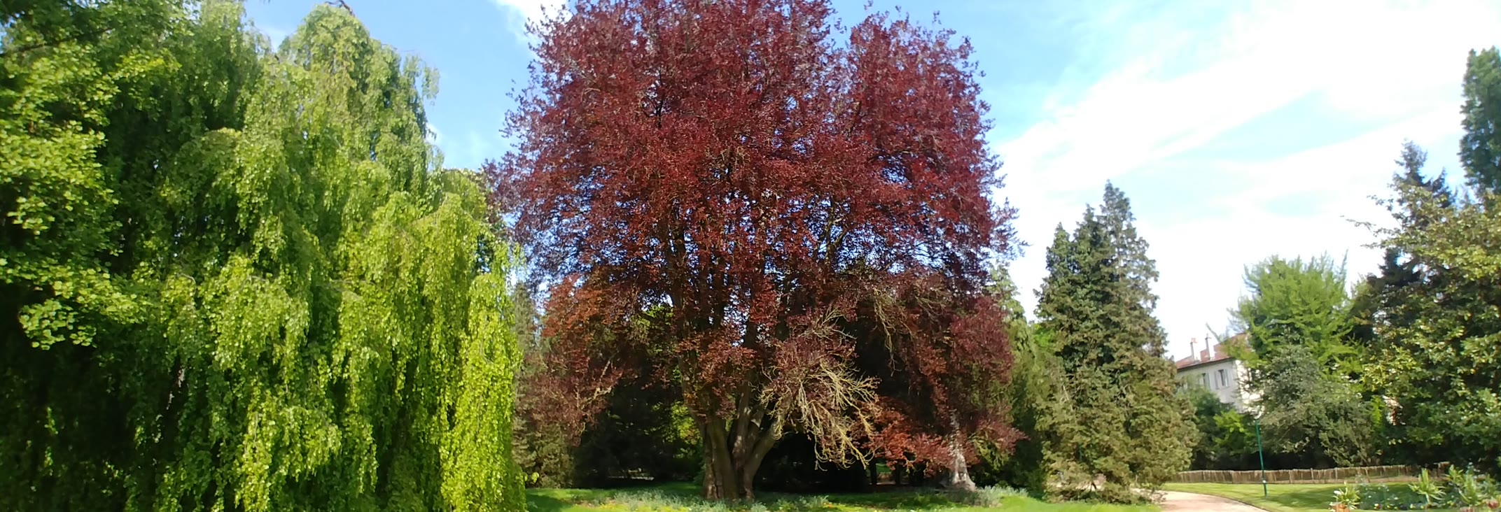 The Pépinière park, Nancy's green lung