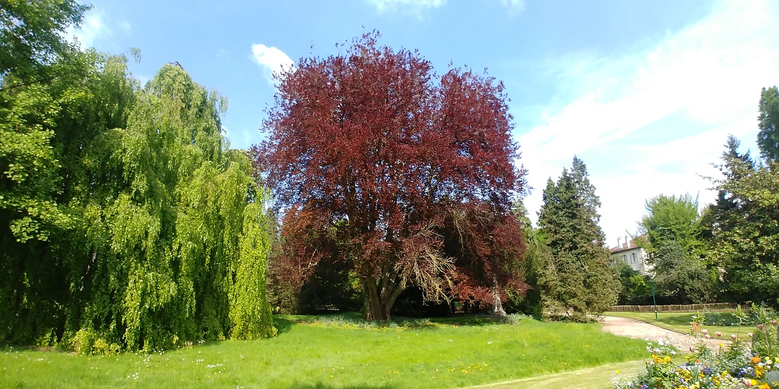 Le parc de la Pépinière, le poumon vert de Nancy