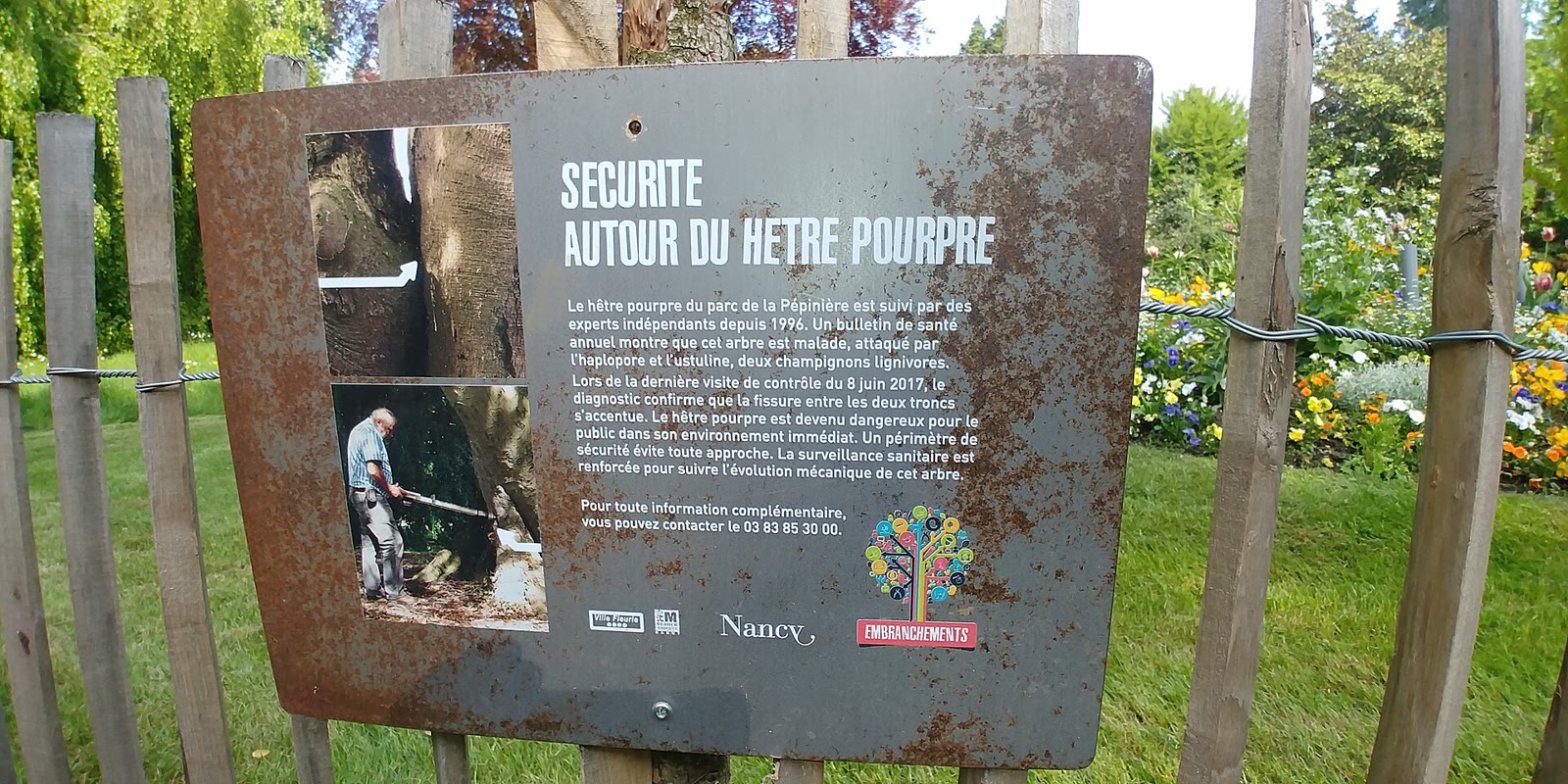 Le parc de la Pépinière, le poumon vert de Nancy