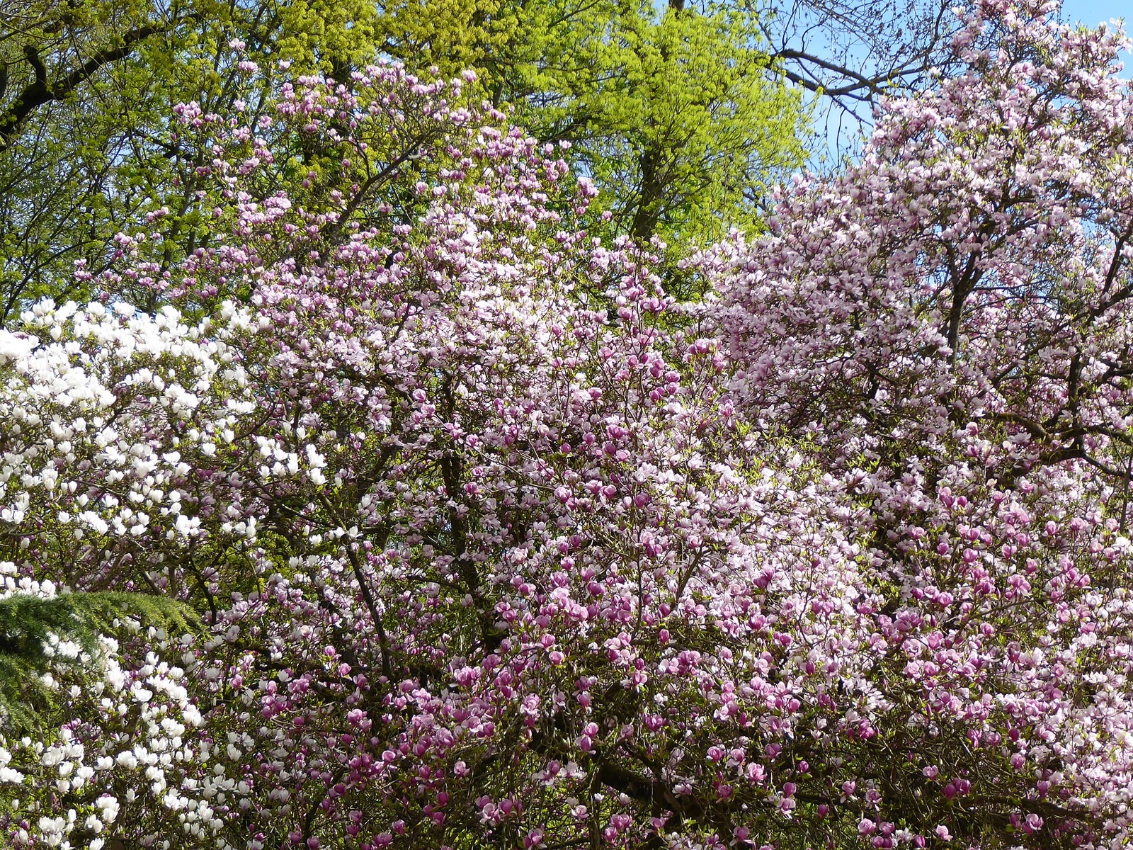 Parc Sainte-Marie, großer Garten im Südwesten