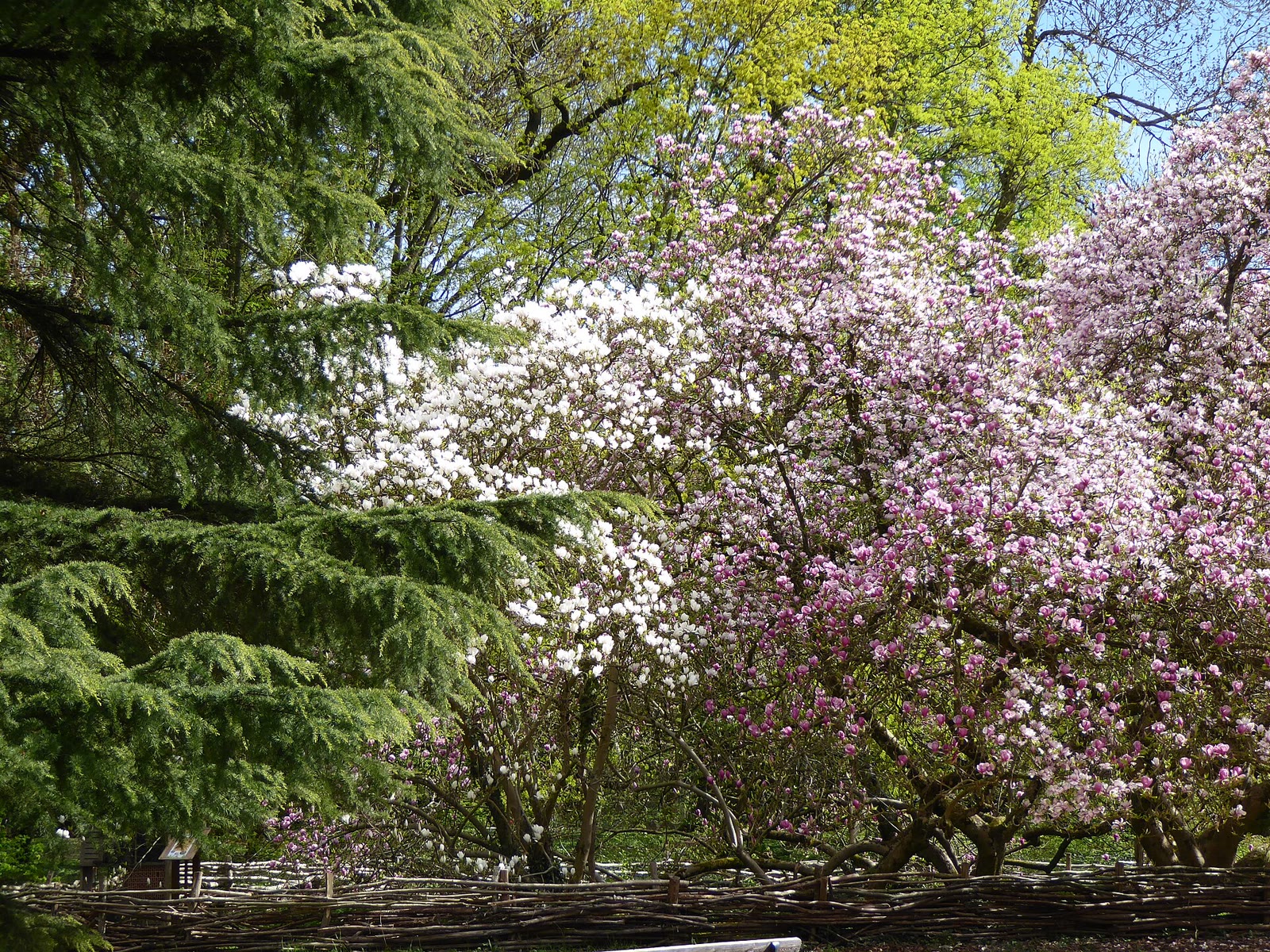 Parc Sainte-Marie, großer Garten im Südwesten